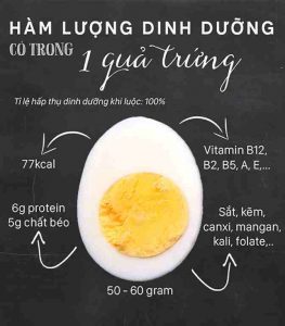Thành phần dinh dưỡng quý giá từ trứng gà